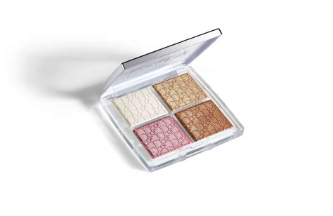 dior backstage highlighter & blush palette|christian Dior Backstage glow face.